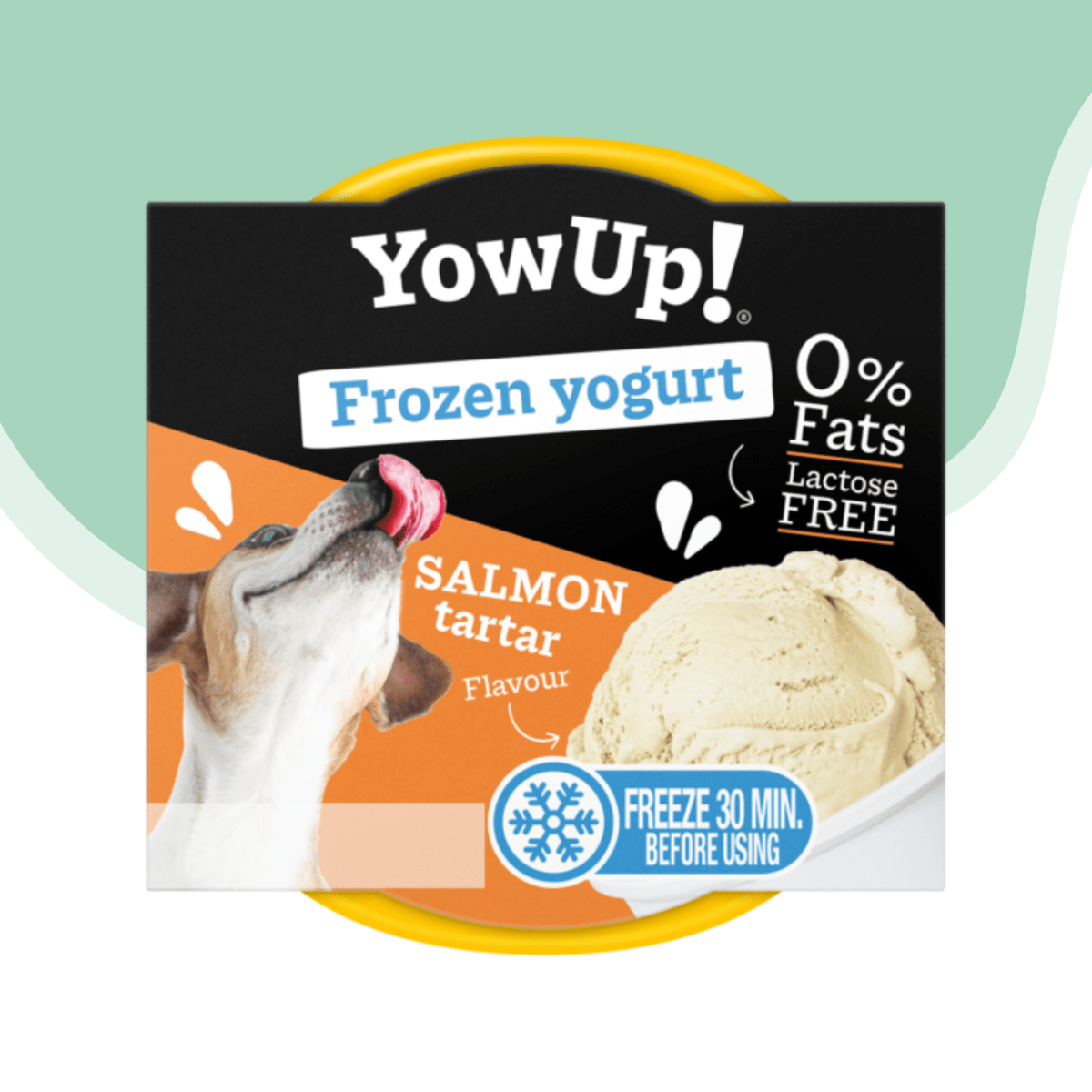 Frozen yogurt salmon Yowup 110 gr1