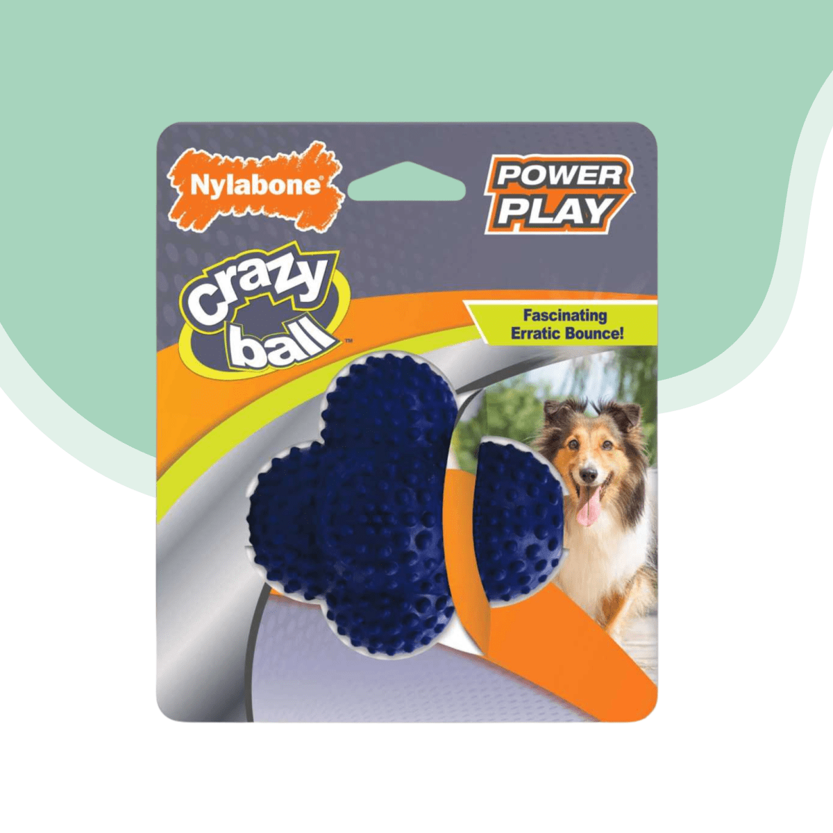 Crazy ball azul Nylabone1
