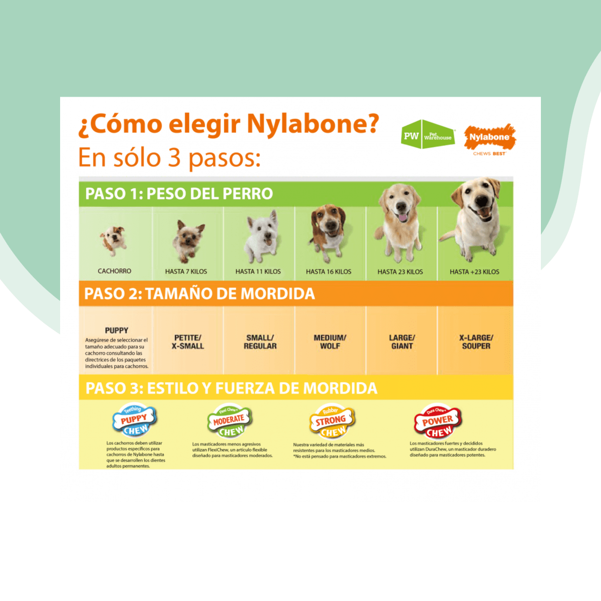 Crazy ball azul Nylabone2