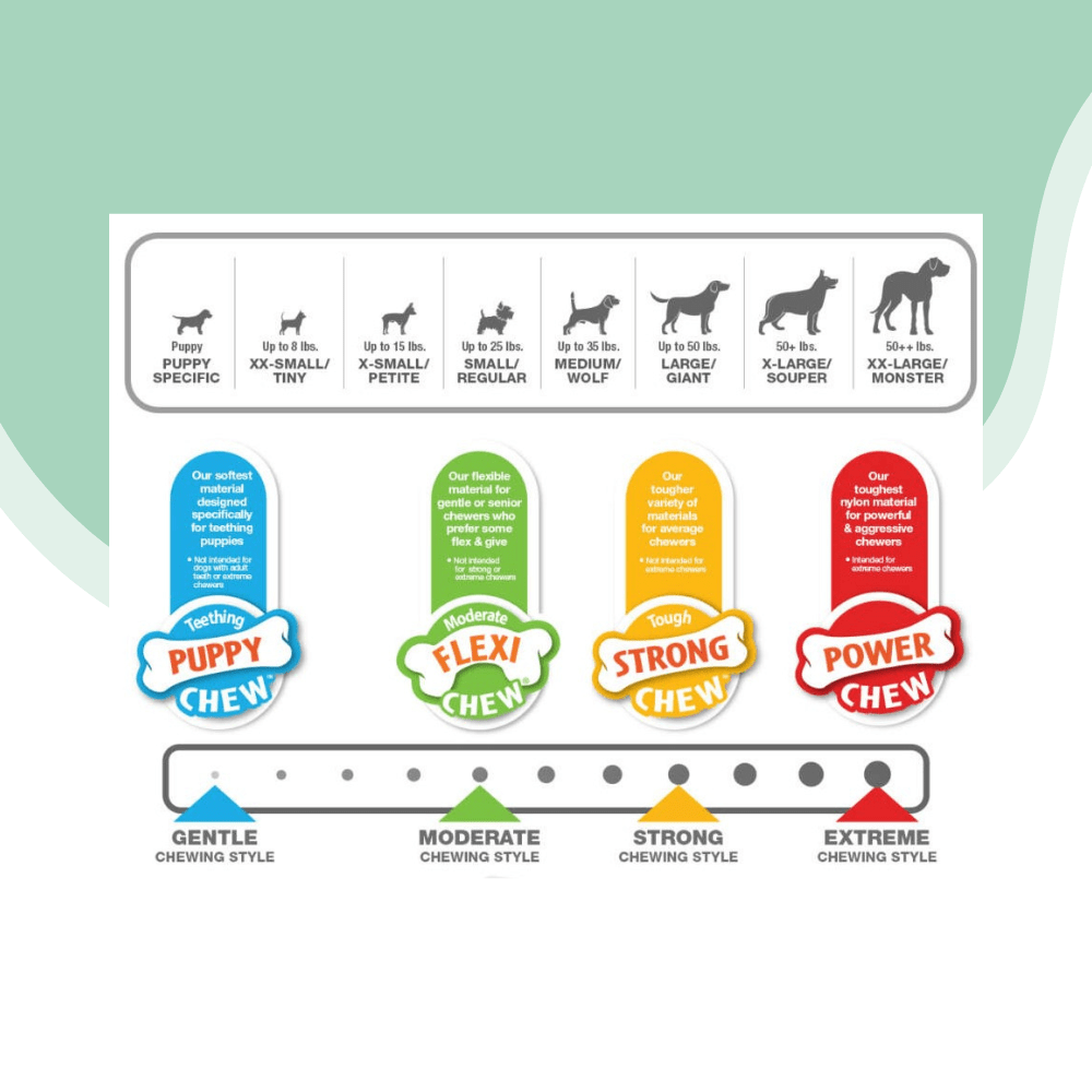 Hueso rellenable Strong crew Nylabone2