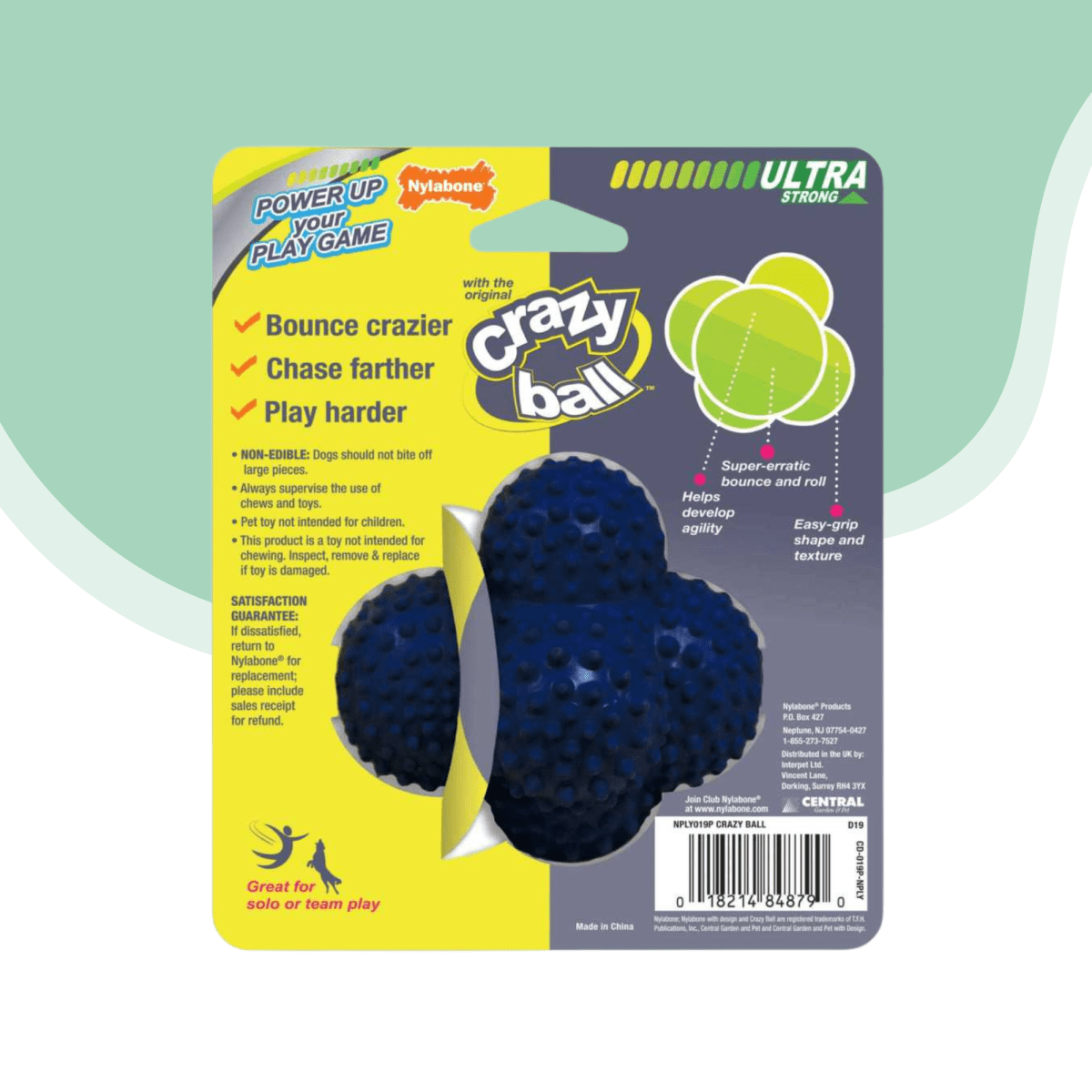 Crazy ball azul Nylabone3