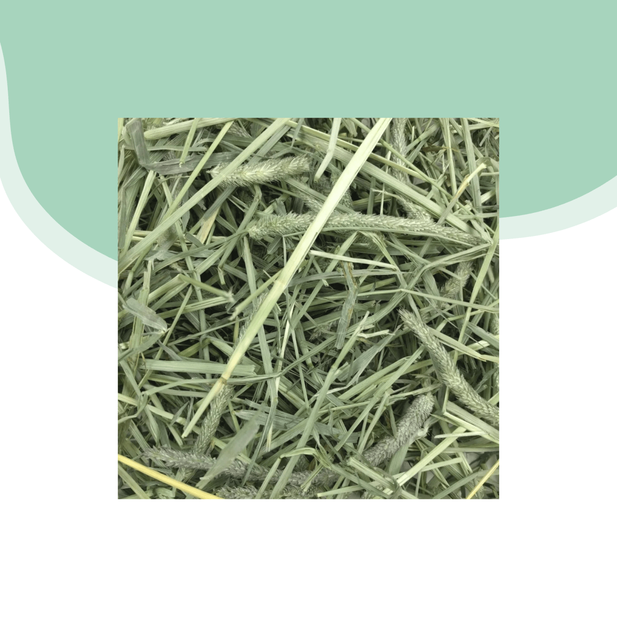 Heno Western Timothy 425 gr2