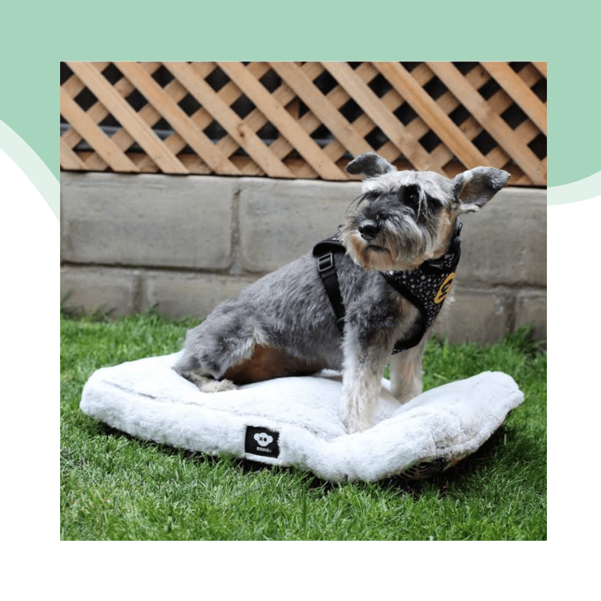 Cama anti estress cierre reversible2