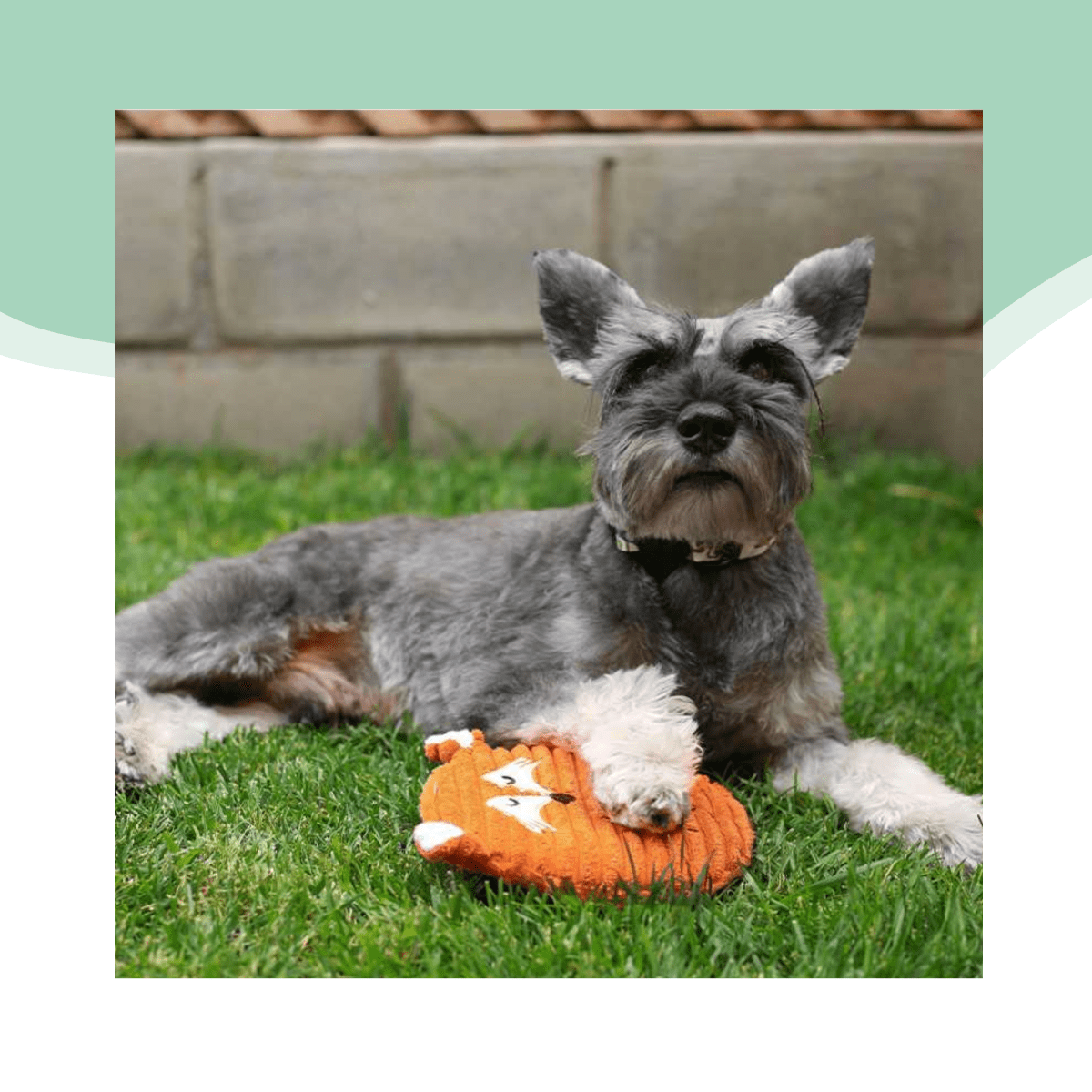 Peluche zorro con sonido2