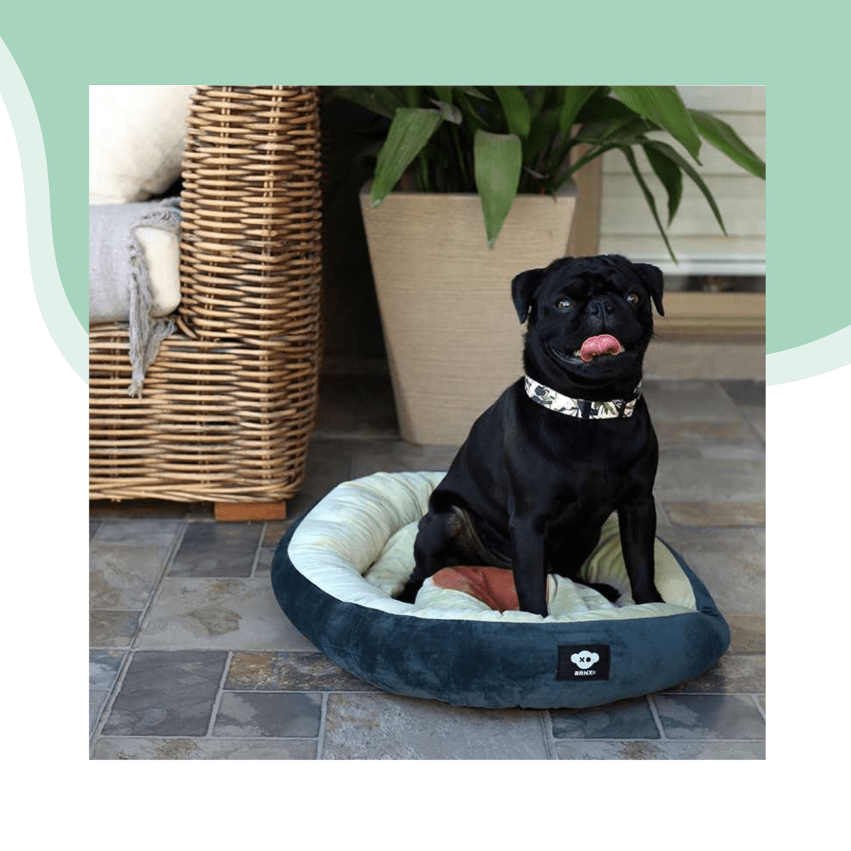 Cama forma de palta 60x40 cm2