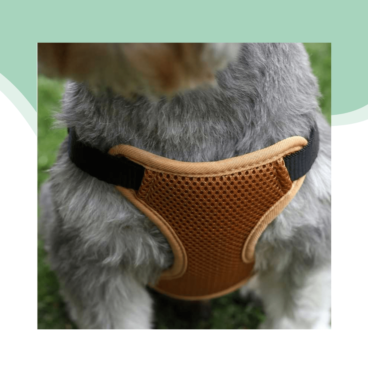 Arnes osos perezoso talla M2