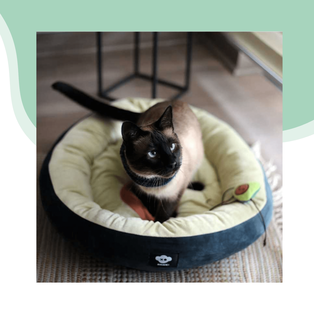 Cama forma de palta 60x40 cm3