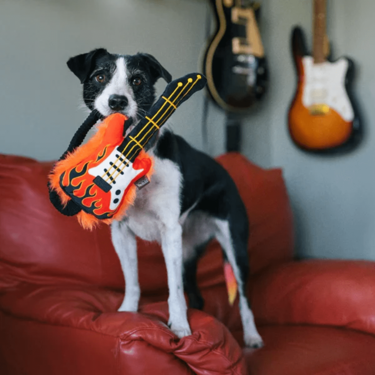 Peluche Estimulante Plush Perro Guitarra Electrica Play3