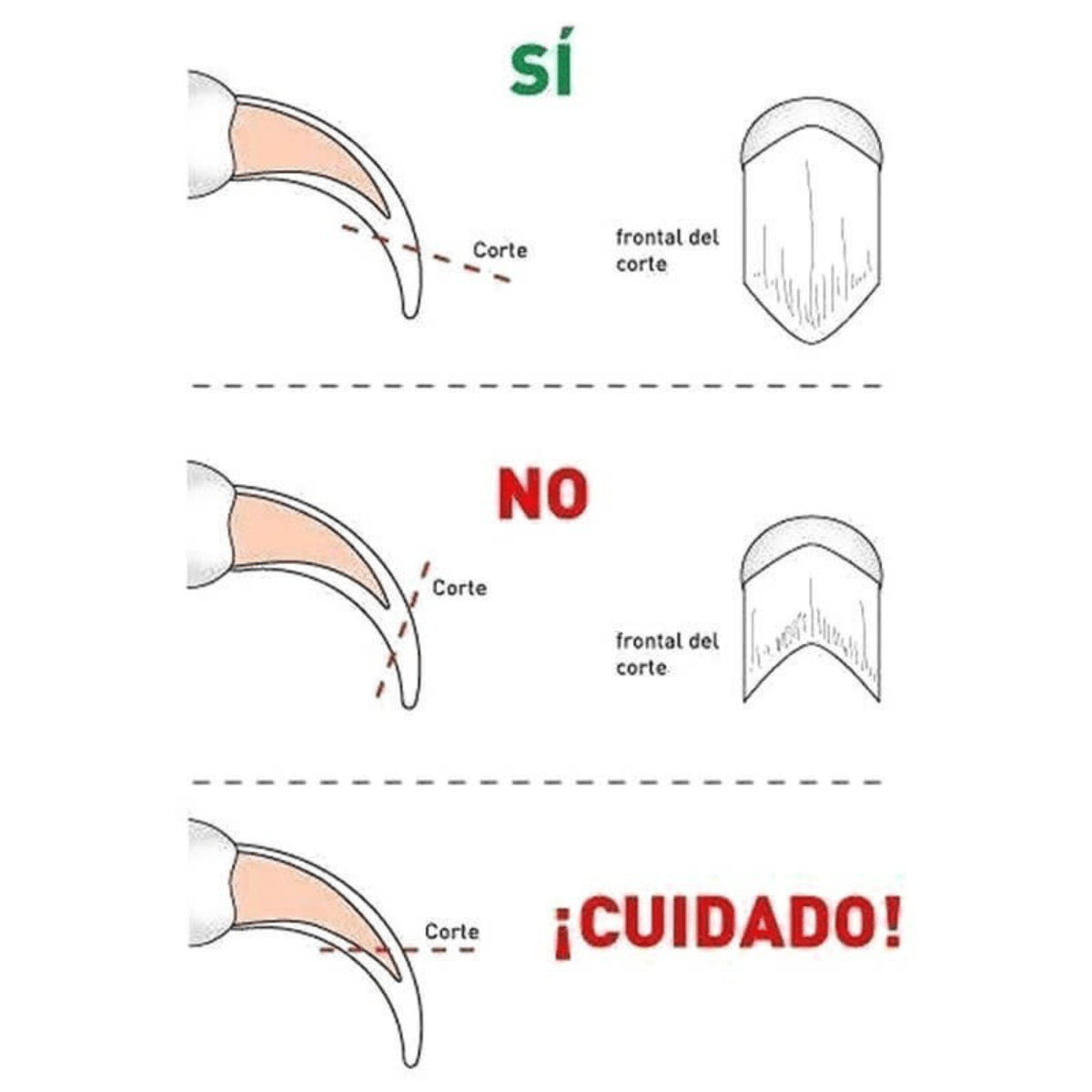 Corta uña essential gato2