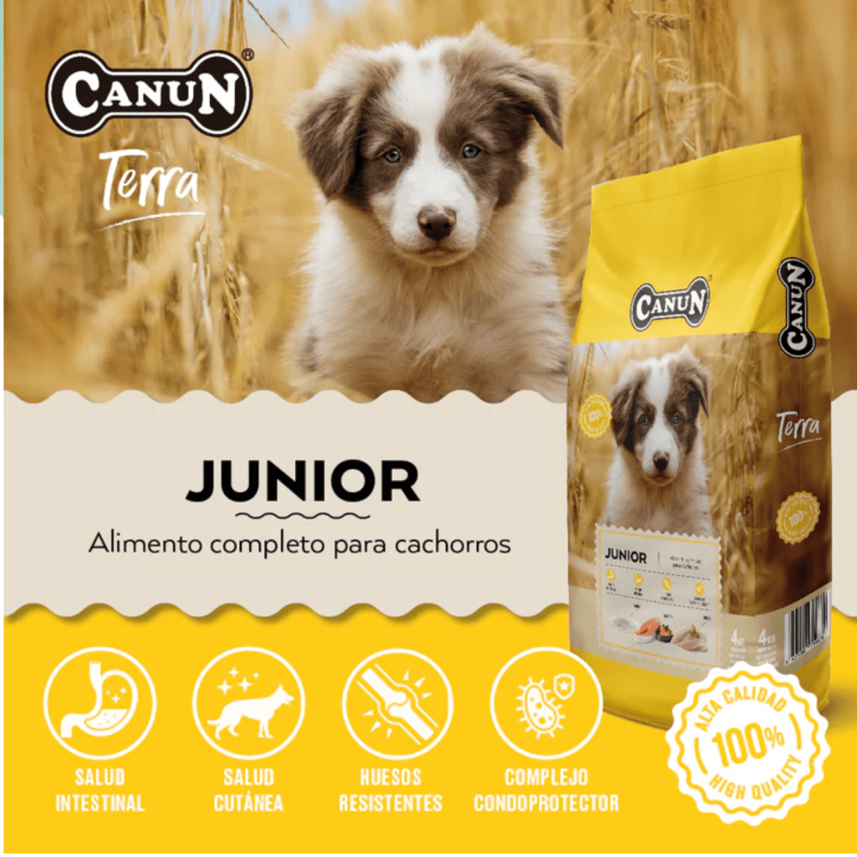 Canun terra perro cachorro 4 kg2