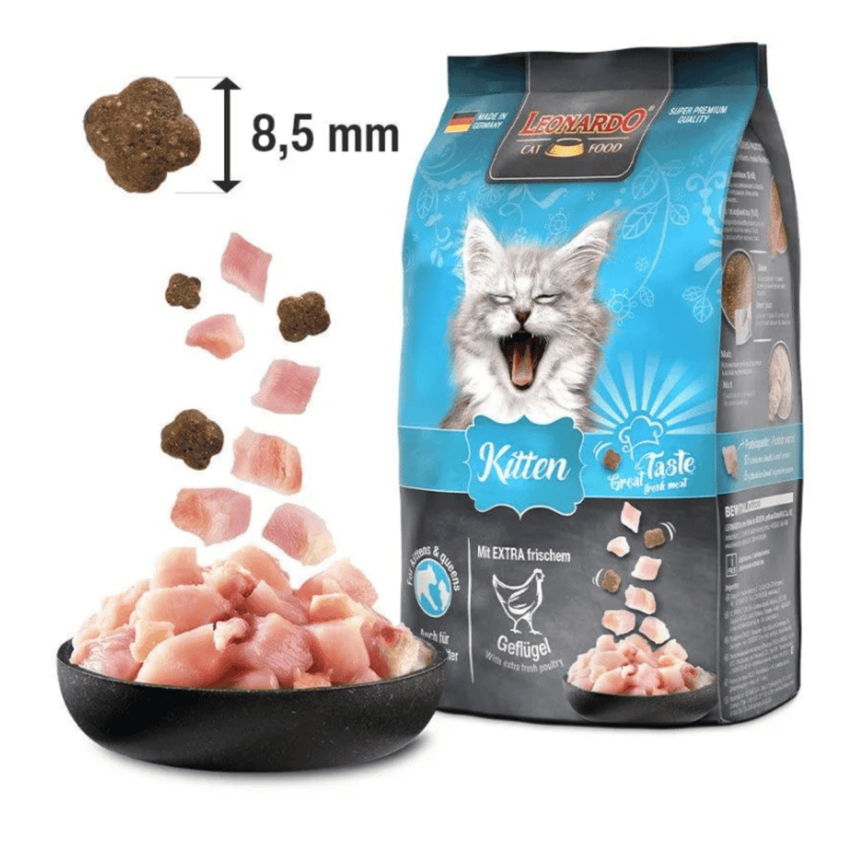 Leonardo gato kitten 1.8 kg2