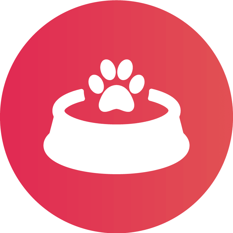 MASCOTAS