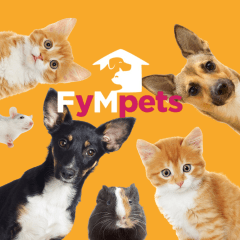fympets