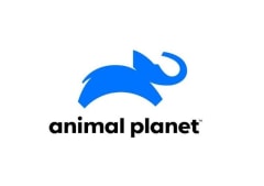 ANIMAL PLANET