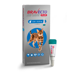 BRAVECTO PLUS GATO 250 MG 2,8 A 6,25 KG1