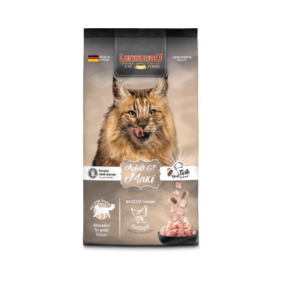 LEONARDO ADULT GF MAXI1