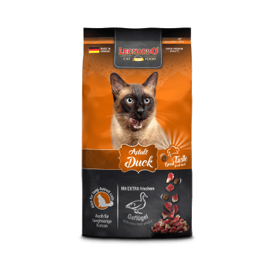 LEONARDO ADULT DUCK1