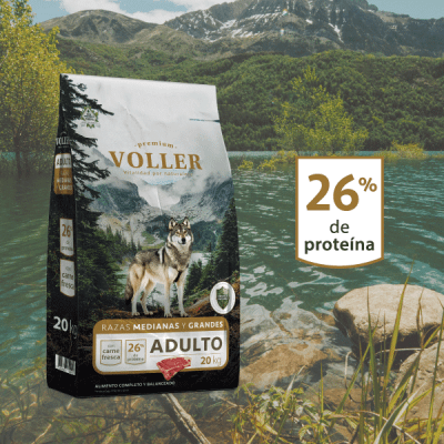 VOLLER ADULTO RAZA MEDIANA Y GRANDE 20 KG1