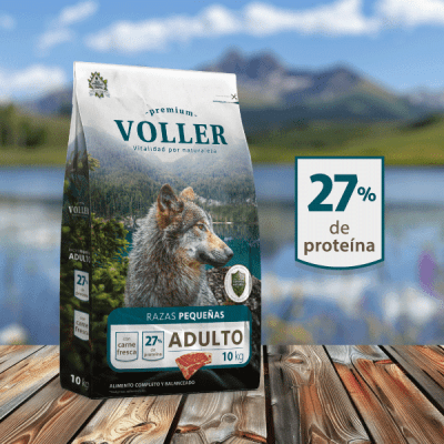 VOLLER ADULTO RAZA PEQUEÑA 10 KG1