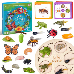 Juego del Ciclo de Vida