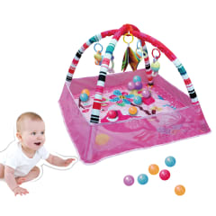 Gimnasio Rosado con Tapete y Pelotas