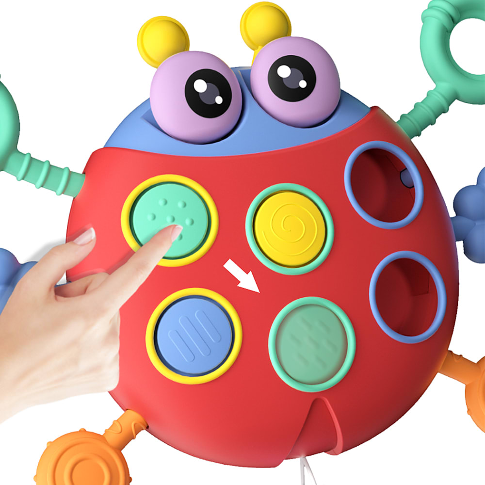 Chinita Sensorial Didáctica3