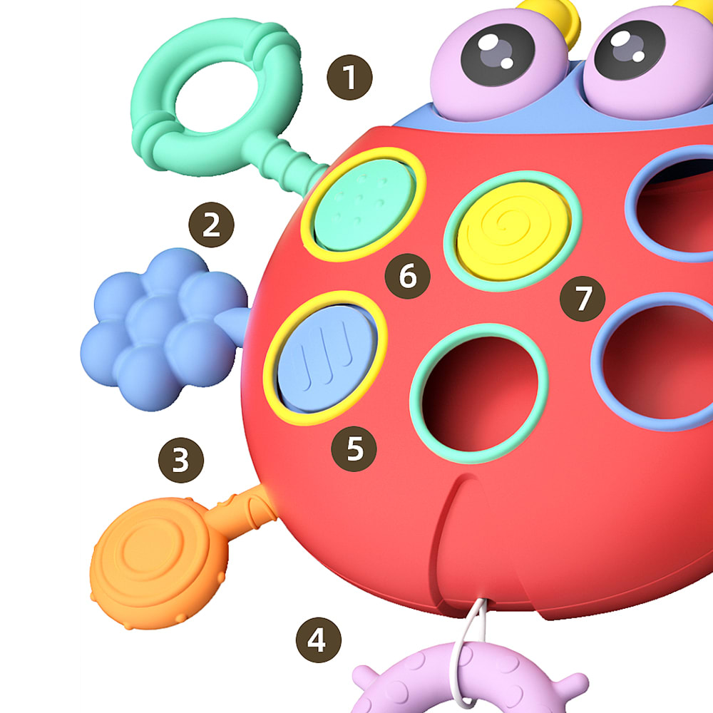 Chinita Sensorial Didáctica5