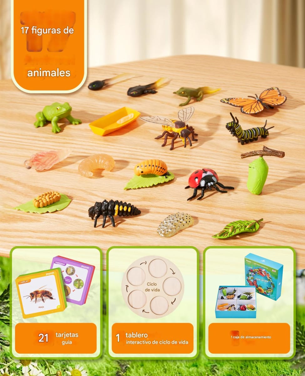 Juego del Ciclo de Vida1