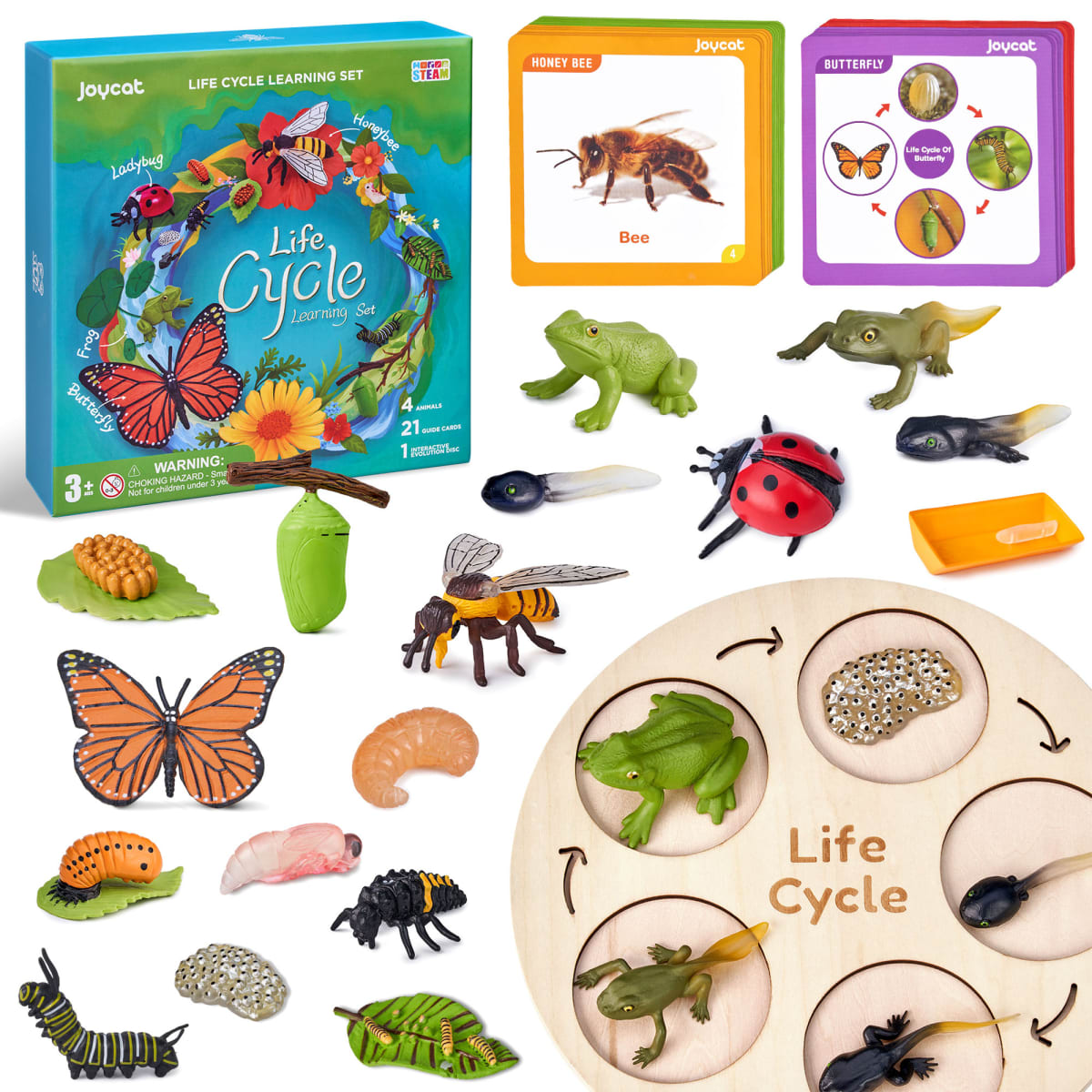 Juego del Ciclo de Vida2