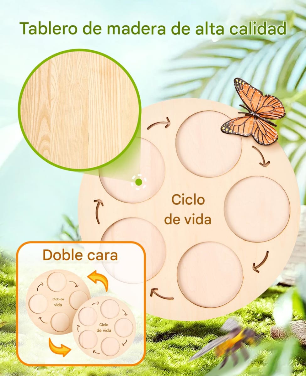 Juego del Ciclo de Vida4