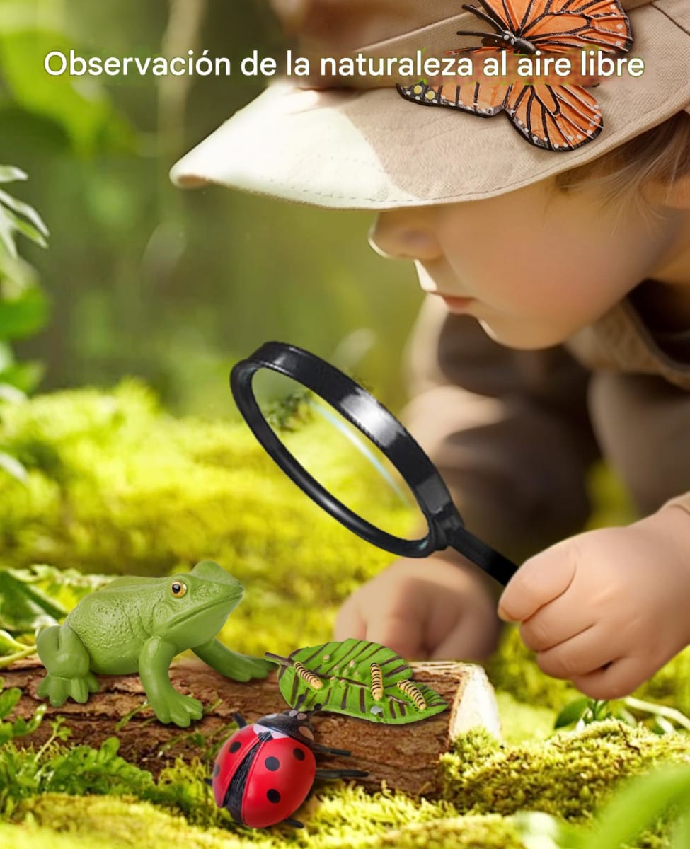 Juego del Ciclo de Vida5