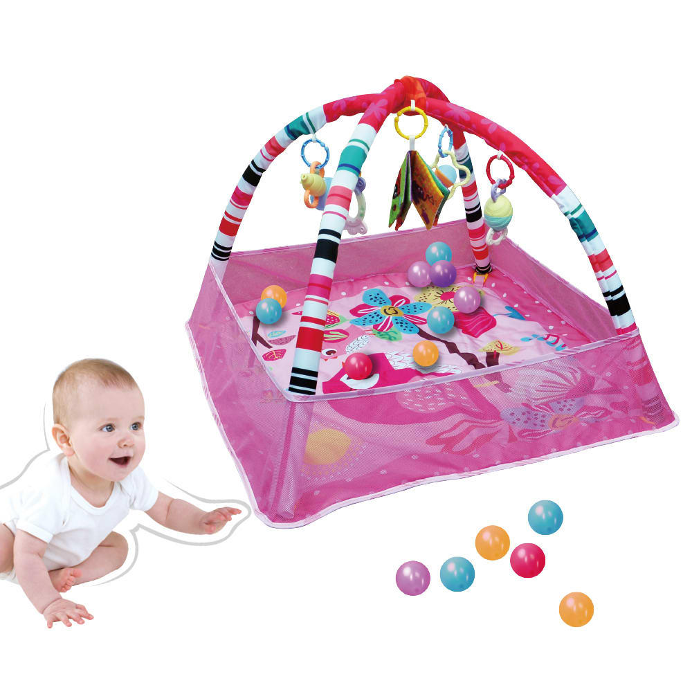 Gimnasio Rosado con Tapete y Pelotas2