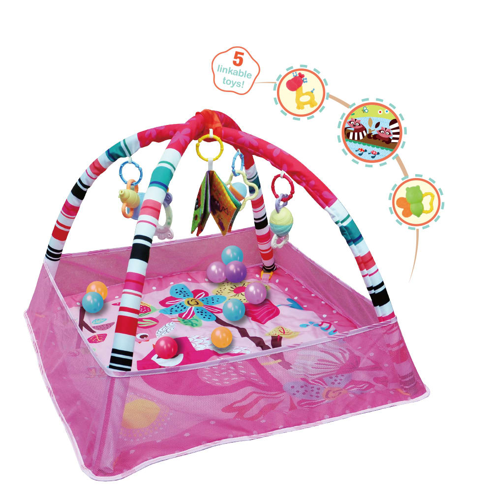 Gimnasio Rosado con Tapete y Pelotas3