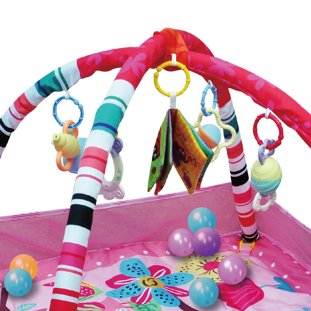 Gimnasio Rosado con Tapete y Pelotas4