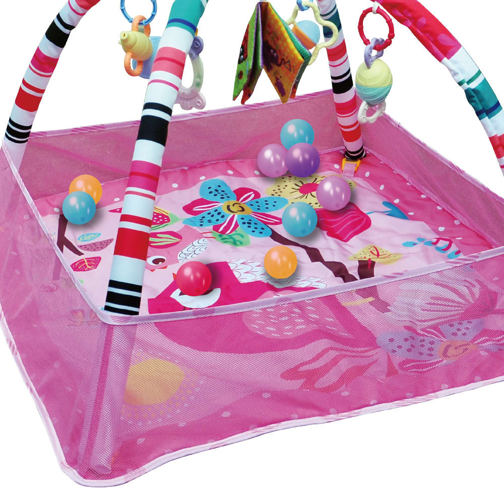 Gimnasio Rosado con Tapete y Pelotas5