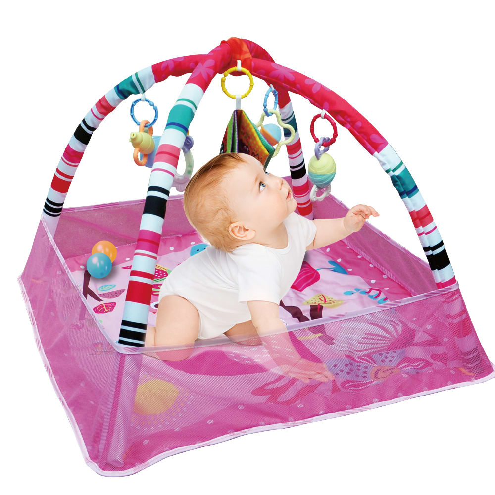 Gimnasio Rosado con Tapete y Pelotas6