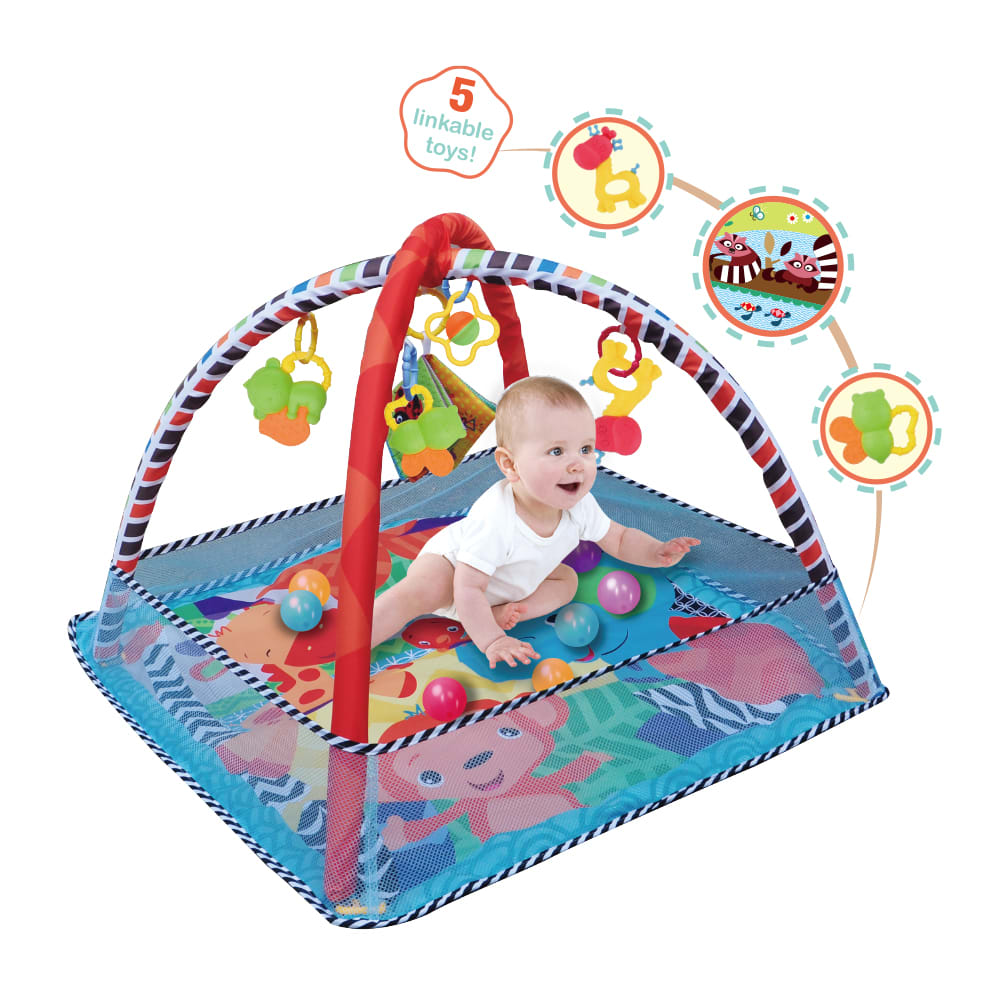 Gimnasio Celeste con Tapete y Pelotas1