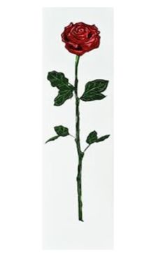 Lija Monkicat Rose Lija Monkicat Rose