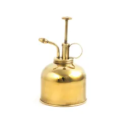 Mister De Plantas Kikkerland De Bronce