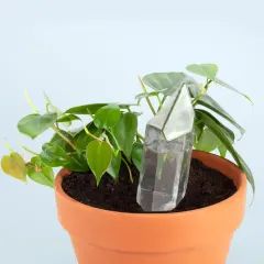 Agua De Un Cristal Kikkerland