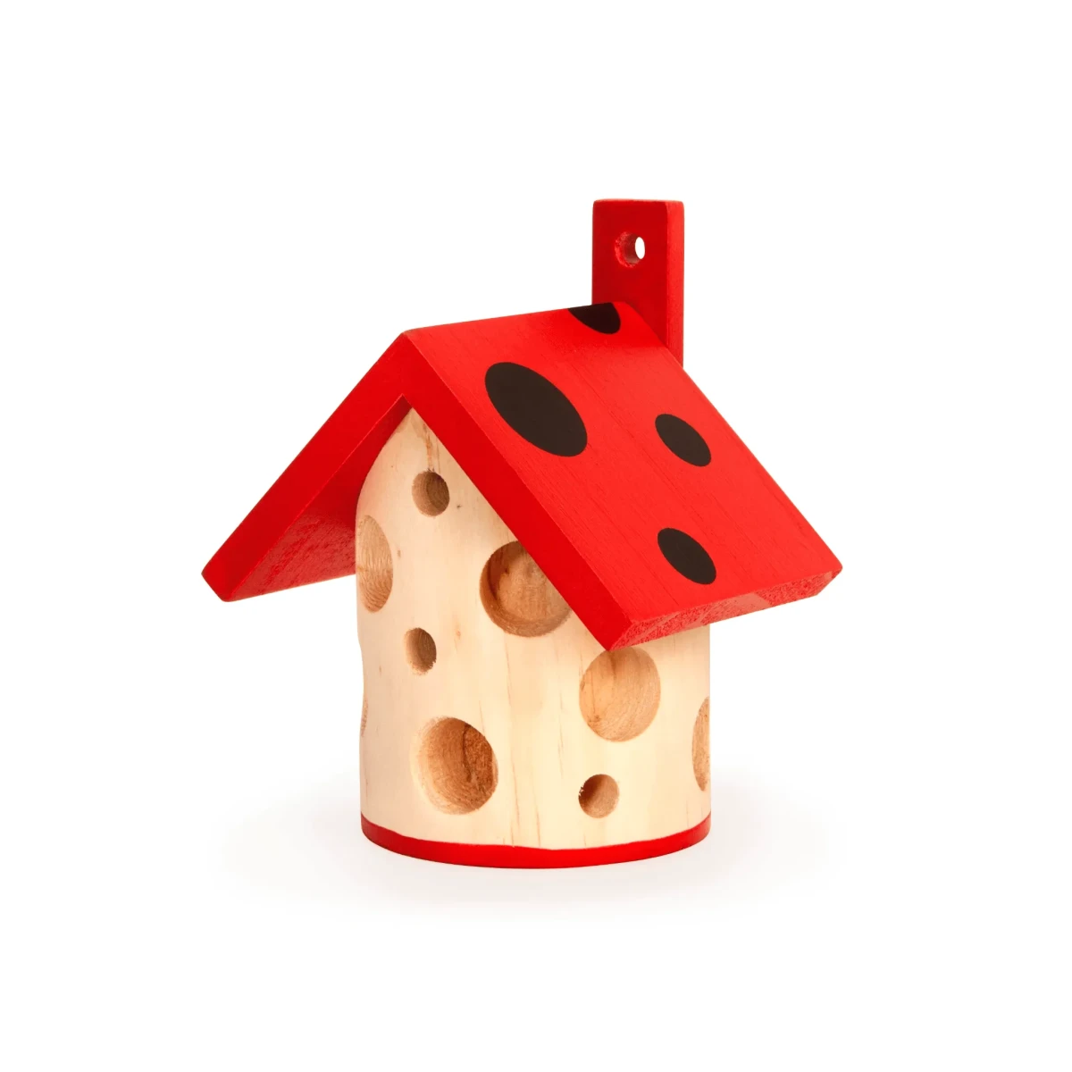 Casa Ladybug Kikkerland1