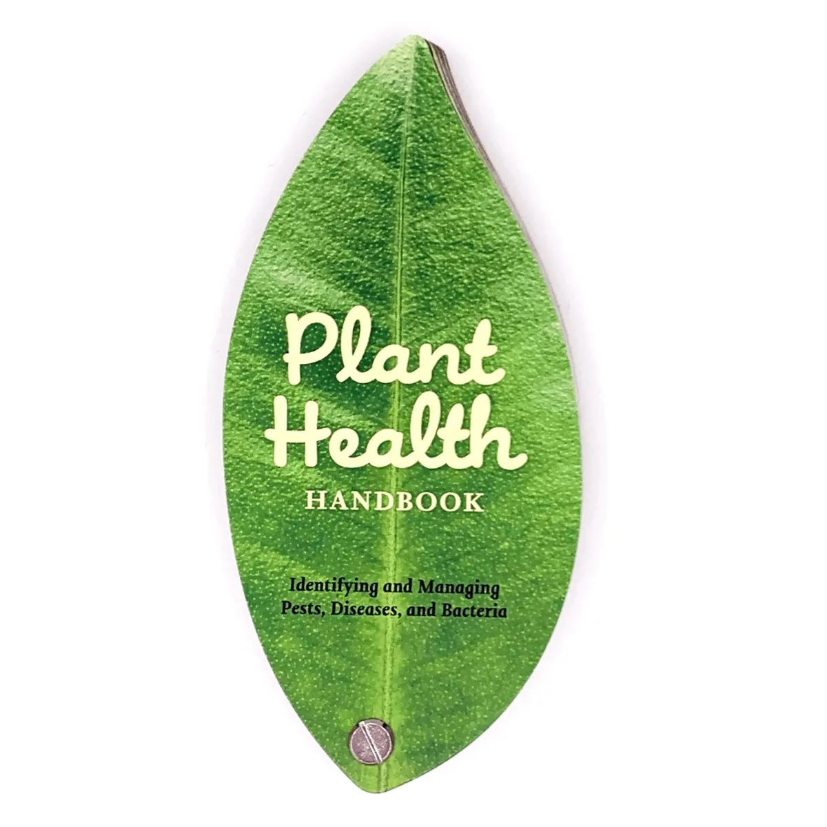 Plantas Kikkerland Saludables1