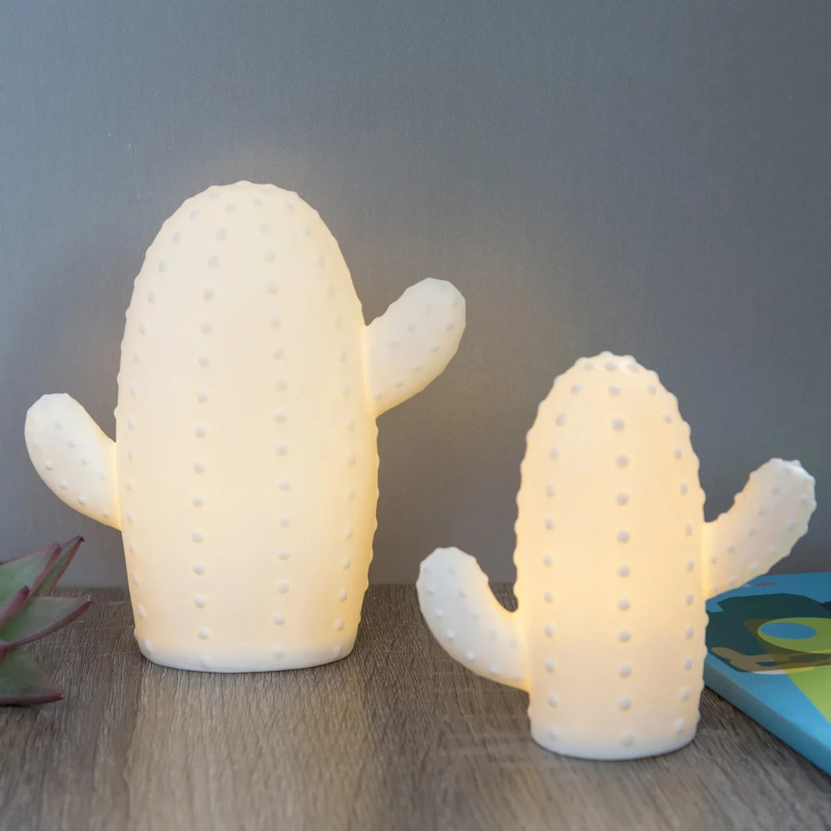 Luz Led Kikkerland Cactus Grande1