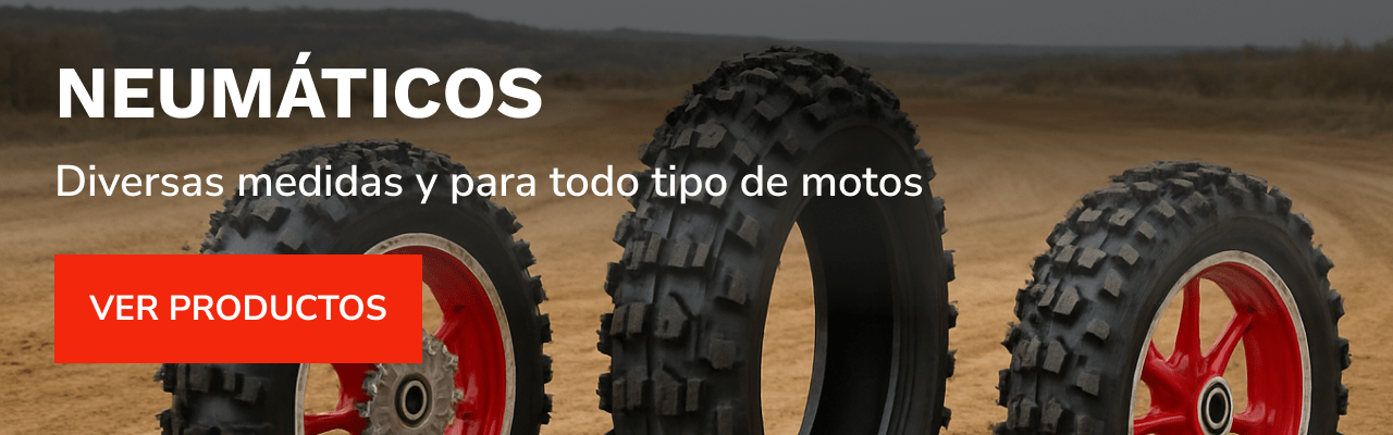 Inicio