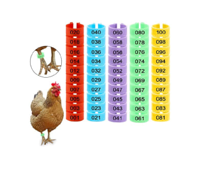 Anillos Identificación Aves de Corral1