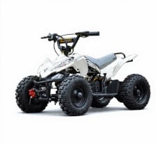 Mini Moto atv 49cc 2T aro 6 Cuadrimoto Blanco
