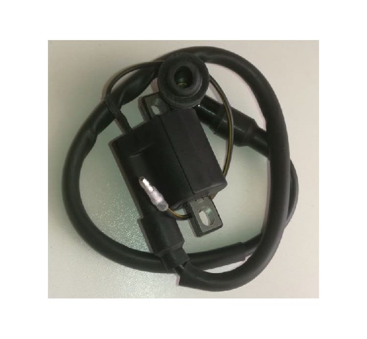 Bobina encendido CBX2501