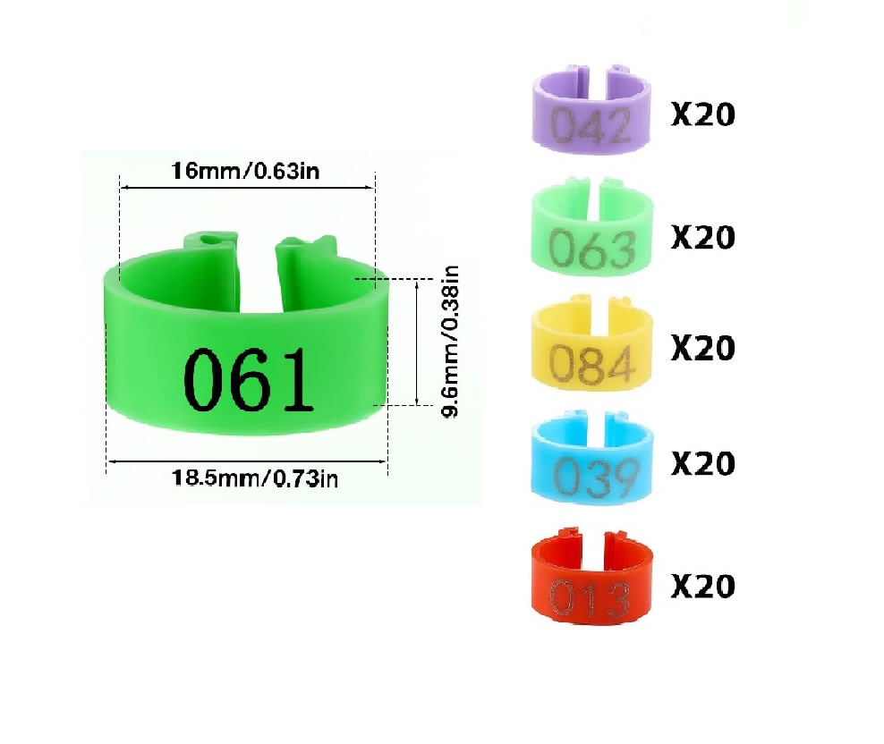 Anillos Identificación Aves de Corral2