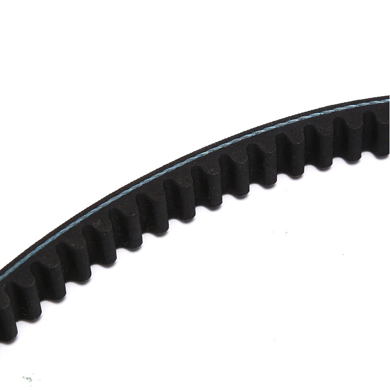 Correa de Transmisión 842-20-303