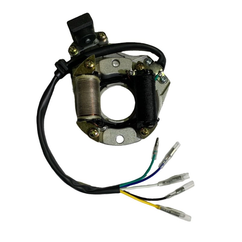 Magneto Estator Motor CD100 0